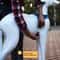 Reflective Dog Harness With Leash For Safe Big Dog Walks 6
