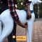 Reflective Dog Harness With Leash For Safe Big Dog Walks 6
