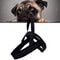 Reflective Dog Harness With Leash For Safe Big Dog Walks 9