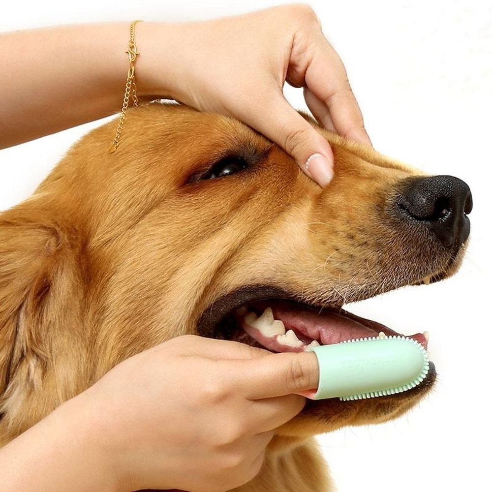 Pet Finger Toothbrush With Handle For Dogs And Cats Dental Care 6