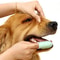 Pet Finger Toothbrush With Handle For Dogs And Cats Dental Care 6