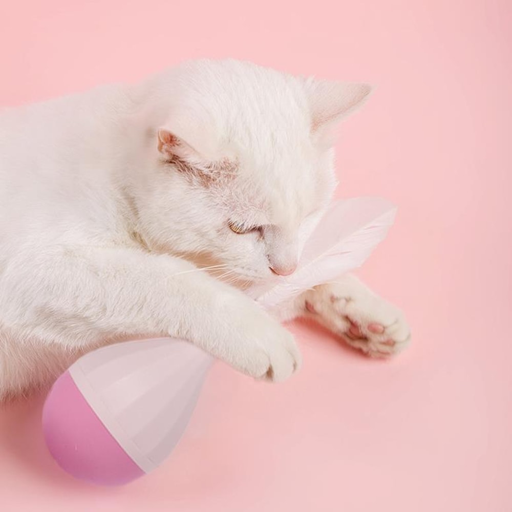 Interactive Feather Tumbler Cat Toy For Boredom Relief 4