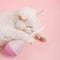 Interactive Feather Tumbler Cat Toy For Boredom Relief 4