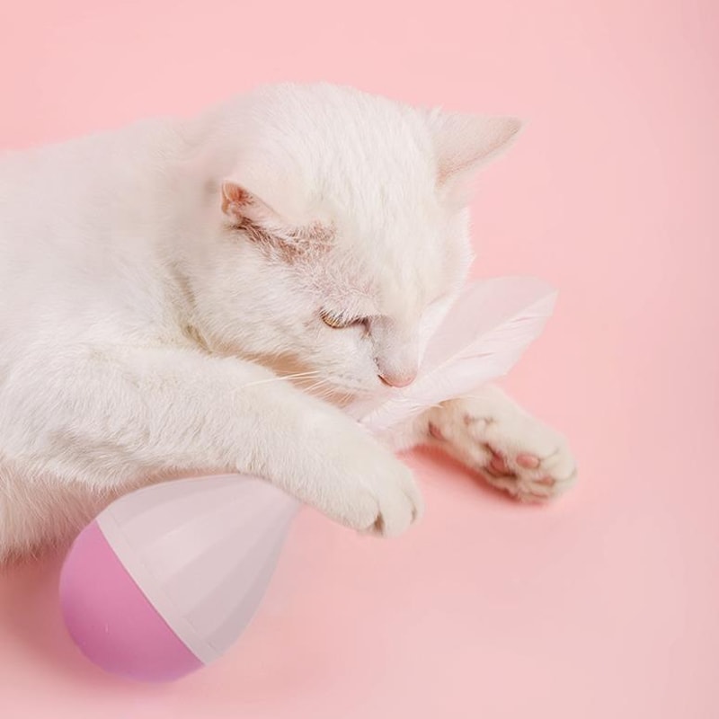 Interactive Feather Tumbler Cat Toy For Boredom Relief 4
