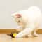 Bee Shaped Interactive Cat Toy With Automatic Motion And USB Rechargeable Design 8