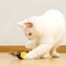 Bee Shaped Interactive Cat Toy With Automatic Motion And USB Rechargeable Design 8
