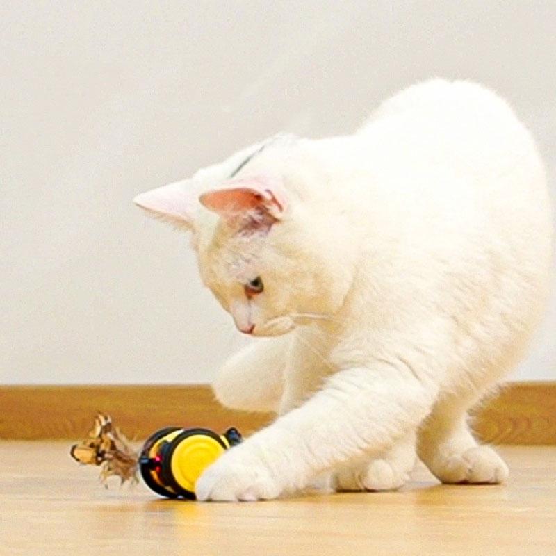 Bee Shaped Interactive Cat Toy With Automatic Motion And USB Rechargeable Design 8