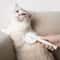 Pets DeFluffing And Knotting Needle Comb For Cats And Dogs 2