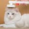Pets DeFluffing And Knotting Needle Comb For Cats And Dogs 10