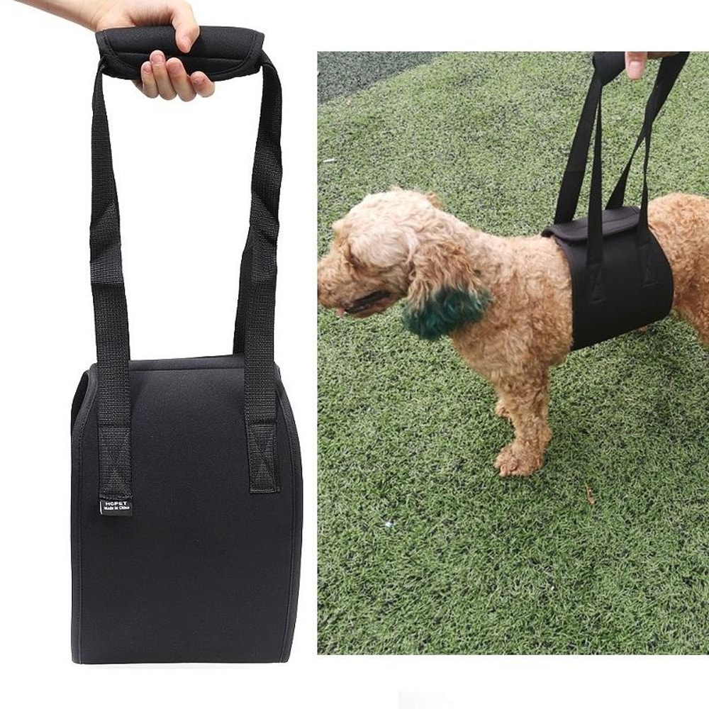Assistive Belts For Dogs Elderly Disabled Dog Walking Leash For Enhanced Mobility 1