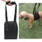 Assistive Belts For Dogs Elderly Disabled Dog Walking Leash For Enhanced Mobility 1