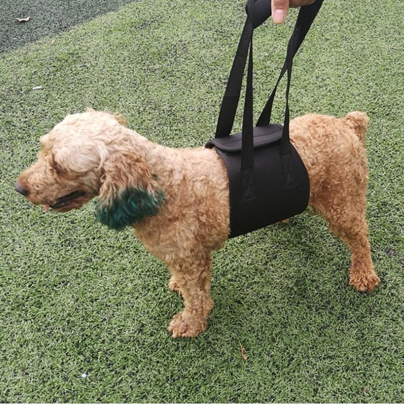 Assistive Belts For Dogs Elderly Disabled Dog Walking Leash For Enhanced Mobility 7