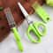 Multi Function Stainless Steel Scallion Scissors For Kitchen MultiBlade Herb Vegetable Cutter 0