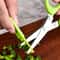 Multi Function Stainless Steel Scallion Scissors For Kitchen MultiBlade Herb Vegetable Cutter 3