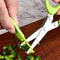 Multi Function Stainless Steel Scallion Scissors For Kitchen MultiBlade Herb Vegetable Cutter 3