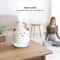 Angel Ultrasonic Humidifier With Colorful Night Lights Mini Air Diffuser 2