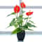 Elegant Artificial Calla Lily Potted Plant For Home Office Decor 1