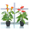 Elegant Artificial Calla Lily Potted Plant For Home Office Decor 2