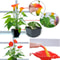 Elegant Artificial Calla Lily Potted Plant For Home Office Decor 3