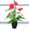 Elegant Artificial Calla Lily Potted Plant For Home Office Decor 7