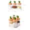 Cactus Layered Kitchen Seasoning Bottle Set Spice Organizer 6
