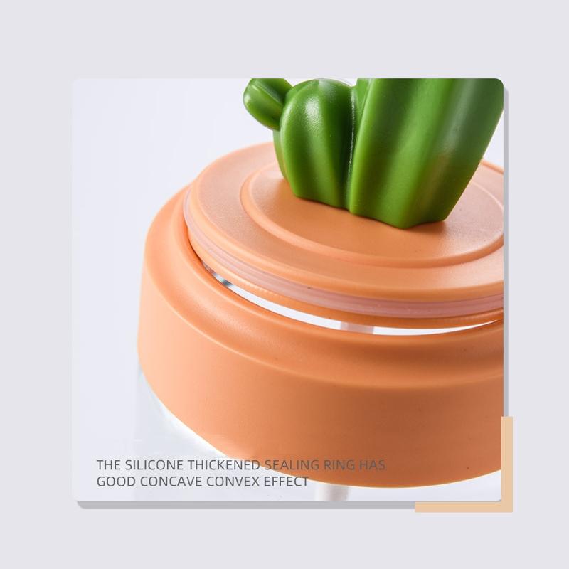 Cactus Layered Kitchen Seasoning Bottle Set Spice Organizer 4
