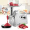 Premium Electric Multifunction Sausage Maker Meat Grinder For Home Kitchens 7