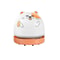 Premium Dual Soft Roller Cleaner Head With LED Dust Detection 9