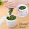 Premium Onion & Garlic Storage Box with Drainage Refrigerator Vegetable Keeper