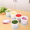Premium Onion & Garlic Storage Box with Drainage Refrigerator Vegetable Keeper