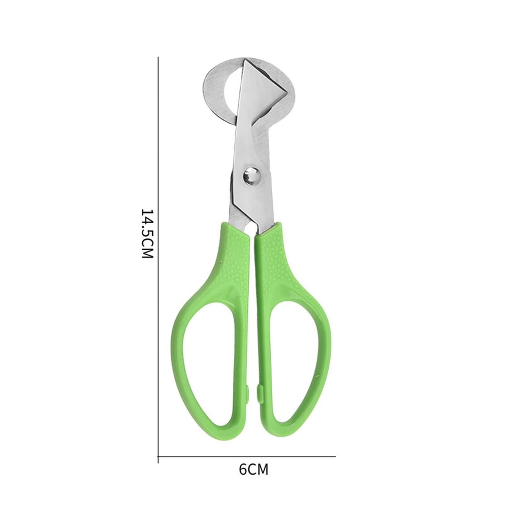 Premium Stainless Steel Quail Egg Scissors & Precision Egg Cutter Tool