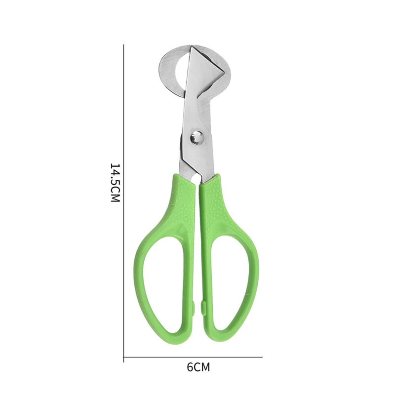 Premium Stainless Steel Quail Egg Scissors & Precision Egg Cutter Tool