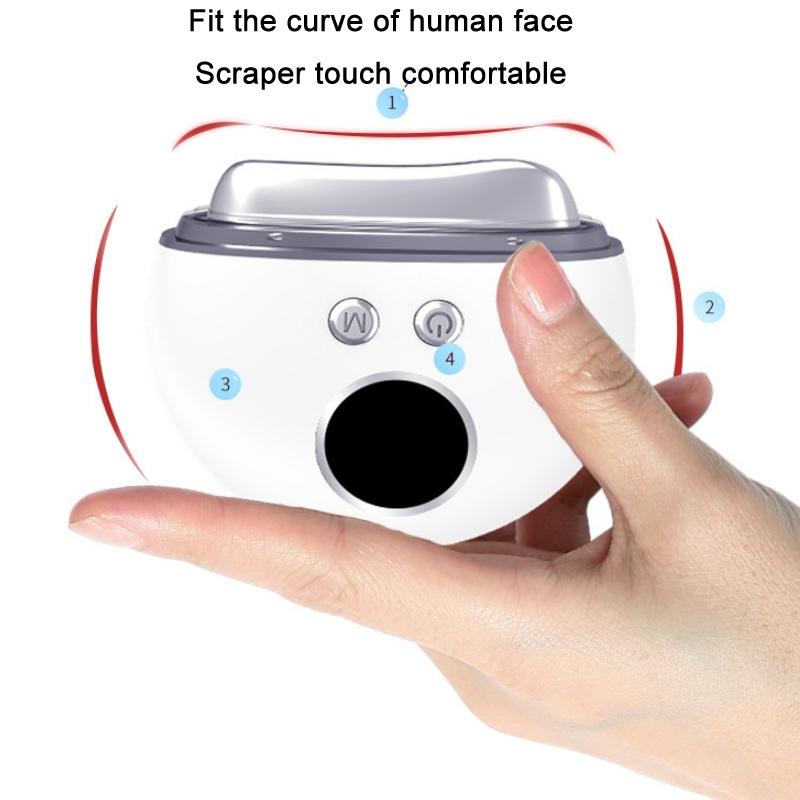 Microcurrent Electric Facial Massager with Heated and LED Light Therapy