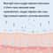 Light Nano Facial Sprayer Oxygen Essence Importer 3