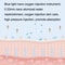 Light Nano Facial Sprayer Oxygen Essence Importer 3
