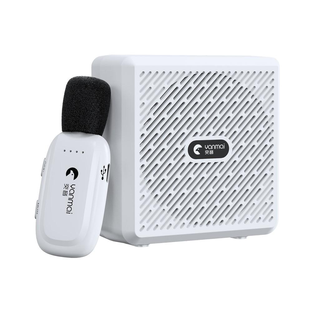Wireless Bluetooth Voice Amplifier Lapel Microphone for Teaching & Training