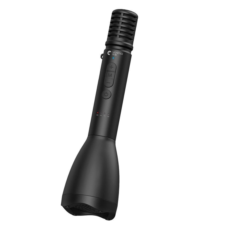 Mini Bluetooth Speaker Wireless Handheld Microphone For Speech Teaching 0