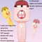 Kids Wireless Bluetooth Karaoke Microphone With Echo Speaker Pink Singing Mic 3