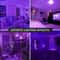 Premium 2 Pack 9W Purple UV LED Bulbs for Ambient Party Lighting