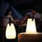 Romantic Colorful USB Rechargeable Portable Night Light With Remote 1