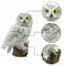 Solar Powered Owl LED Garden Night Light Lamp 3