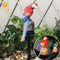 Solar Garden Lamp With Resin Parrot Decorative Outdoor Courtyard Light 7