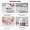 Moon Planet USB Humidifier With Ambient Light Aromatherapy Diffuser 2