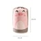 Pig PEVA Quilt Storage Bag Set Dustproof Blanket and Clothing Organizer