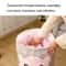 Pig PEVA Quilt Storage Bag Set Dustproof Blanket and Clothing Organizer