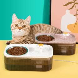 automatic heated pet water feeder bowl for cats and dogs