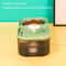 Automatic Heated Pet Water Feeder Bowl For Cats And Dogs 9