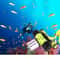 Waterproof Scuba Diving Light Underwater LED Flashlight 4