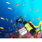 Waterproof Scuba Diving Light Underwater LED Flashlight 4