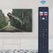 TV Remote Control Replacement For Smart Android TVs 4